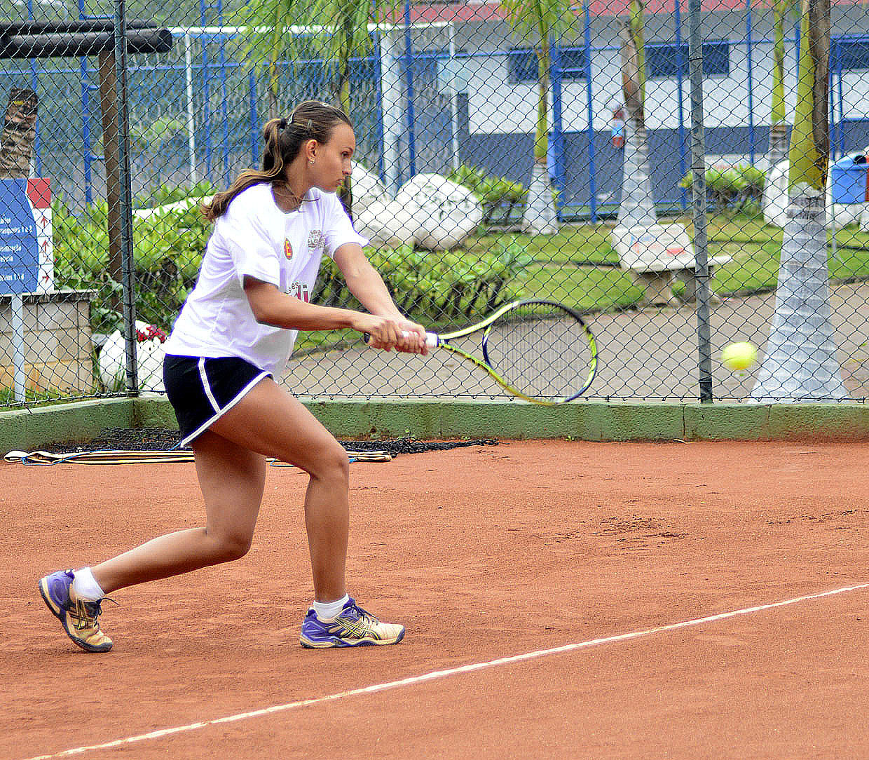 Tênis tem dia decisivo no masculino e feminino - Esporte Paulista